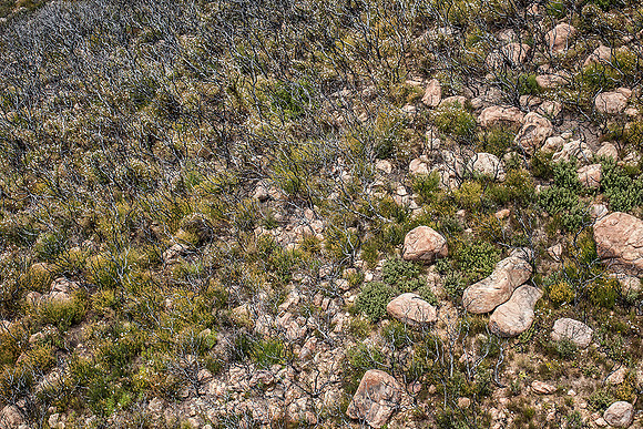 Santa Barbara Mountain area, photographed while paragliding