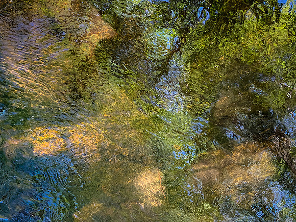 Reflection-Green Valley-CA