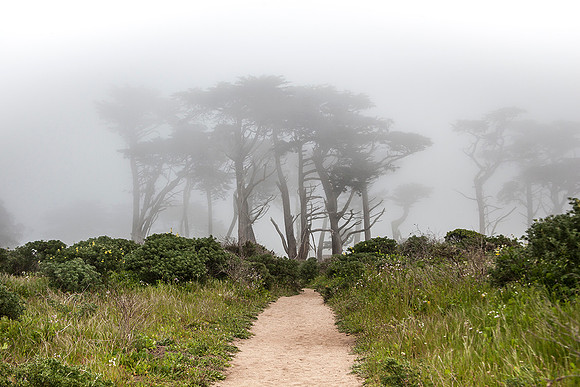 Point Reyes National Seashore