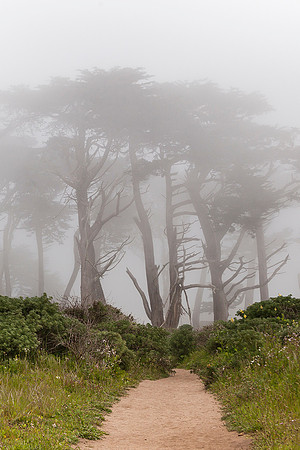 Point Reyes National Seashore