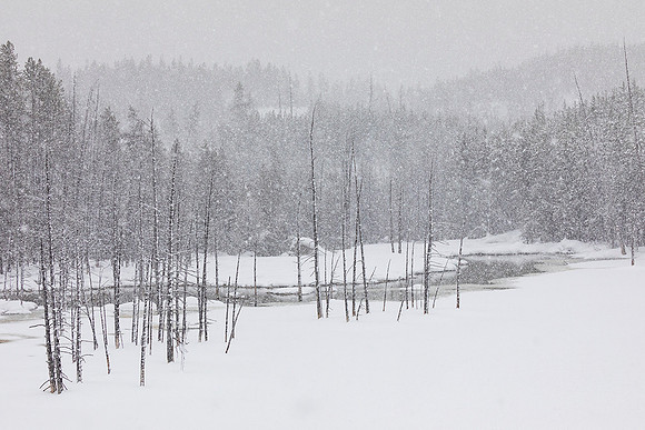 Yellowstone National Park
