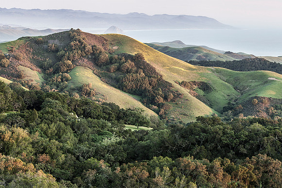 Paso Robles Coastline