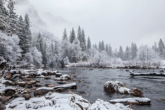 Yosemite National Park