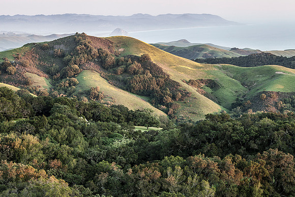 Paso Robles Coastline