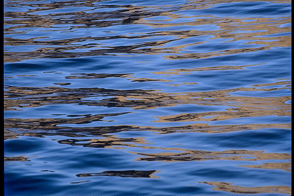 Water off of Santa Cruz Island