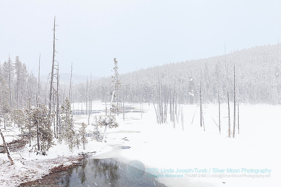 Yellowstone National Park