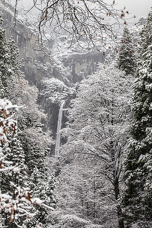 Yosemite National Park