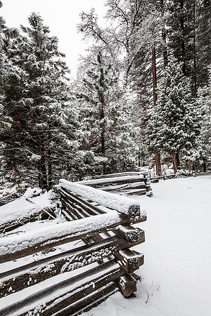 Yosemite National Park