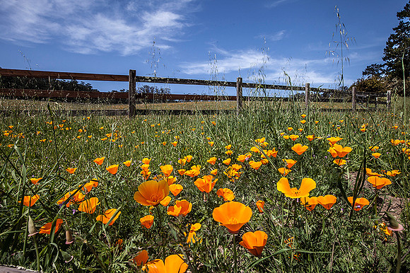 Point Reyes National Seashore