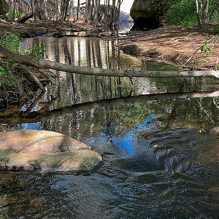 Reflection-Green Valley-CA