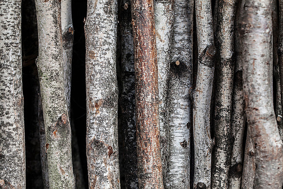 Bark
