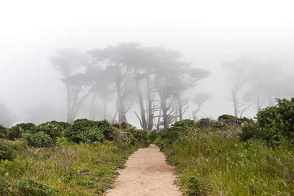 Point Reyes National Seashore